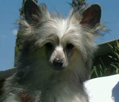 Notice anything on my nose????