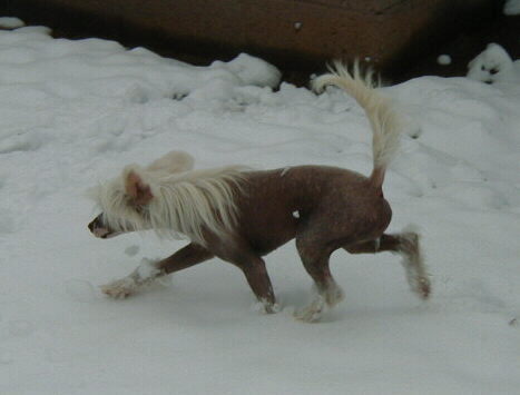 What the *#@! is this??!!!!